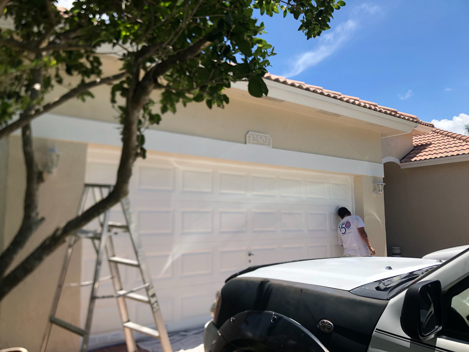 hollywood painting company